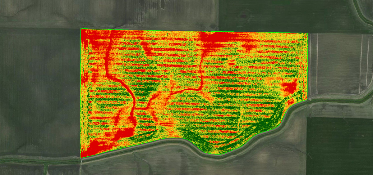 Ndvi